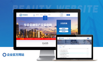 网站建设网站定制开发企业品牌官网电商平台产品营销网站开发设计