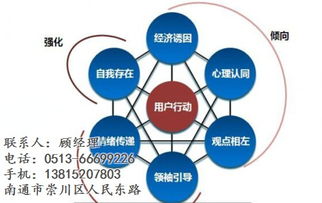 网站推广 网站推广 智讯网络 多图