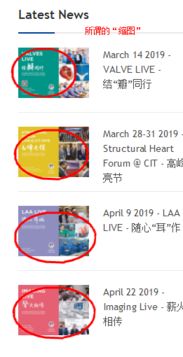 上海派网 网站优化seo专家 建网站专家 上海做网站的公司