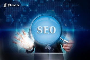 seo新手必学 企业建设网站基本过程讲解