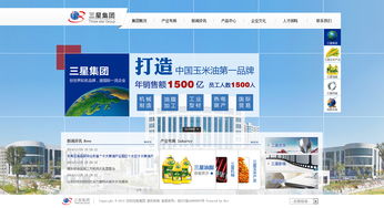 2015年终总结稿