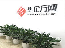 公司简介 武汉网站建设 网站seo优化推广 h5网站案例 营销型微信小程序开发 高端网站定制 外贸网站 网页设计 华企万网
