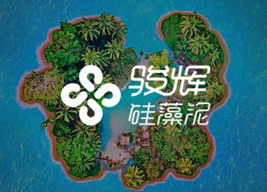 一诺建站公司 专业手机微网站建设与SEO优化推广服务